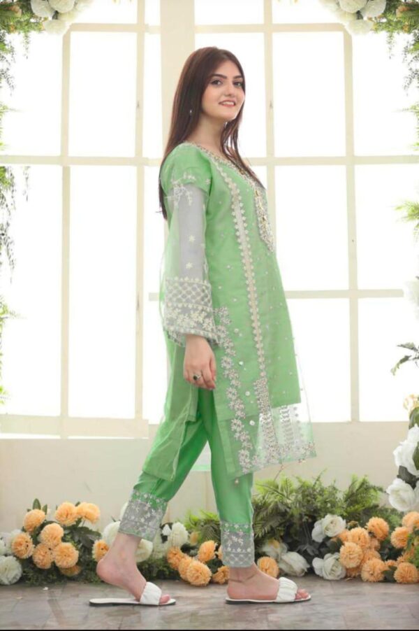 3-pcs Stitched ORGANZA EMBROIDERED Elegant Suit - Image 6